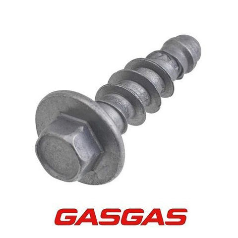 Parafuso GAS GAS K60x20 SW6