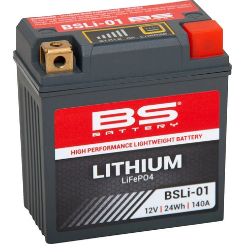 BSLi-01