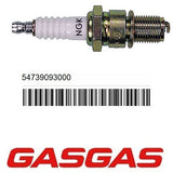 Vela NGK BR7ES ORIGINAL GAS GAS EC 250/300 21-25