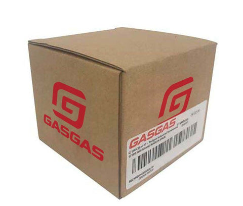REED VALVE GASKET GAS GAS 06-17
