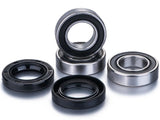 Kit de Rolamentos Roda Traseira FACTORY LINKS RWK-Z-020