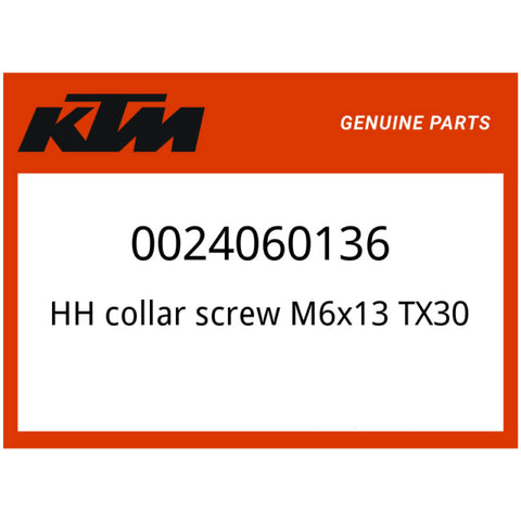 Parafuso 6x13 KTM TX30