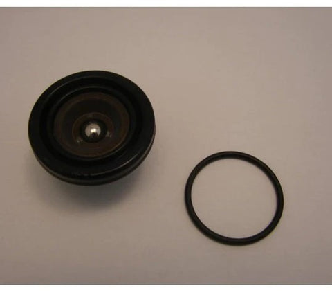 Piston With O'ring Cpl. KTM/ HUSABERG/ HUSQVARNA