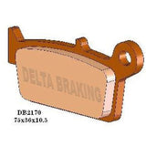 Pastilhas de Travão de Trás DELTA BRAKING TM EN/MX 125/250/300 2T 01-04
